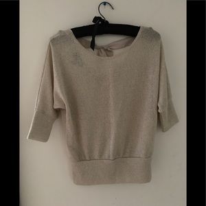 Shimmery back bow Blouse. Never worn